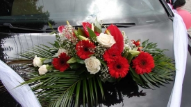 Aranjamente pentru masini_27