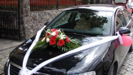 Aranjamente pentru masini_28