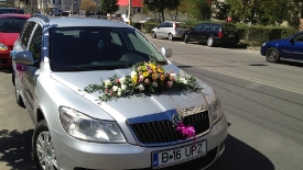 Aranjamente pentru masini_42