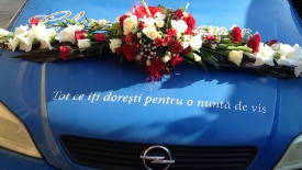 Aranjamente pentru masini_5