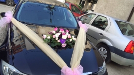 Aranjamente pentru masini_61