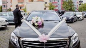 Aranjamente pentru maşini_67