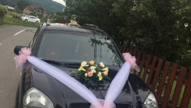 Aranjamente pentru maşini_83