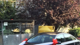 Aranjamente pentru maşini_98