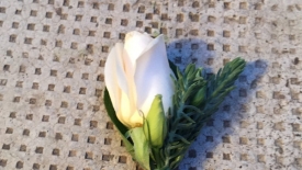Cocarde si corsaje_149