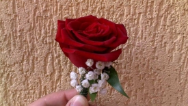 Cocarde si corsaje_26
