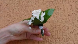Cocarde si corsaje_8